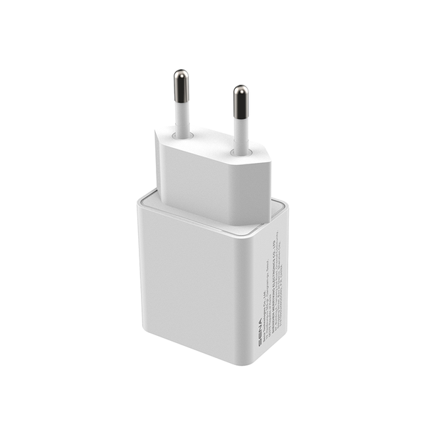 USB Wall Charger (EU version)